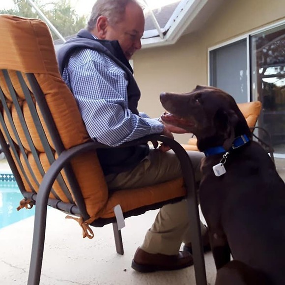 Autoslide Dog Autoslide Elite Automatic Sliding Door System Poshmark